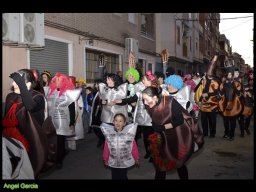 Carnaval de Mula 2013